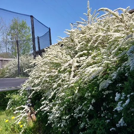 Ranczo W Dolinie Gospodarstwo agroturystyczne *