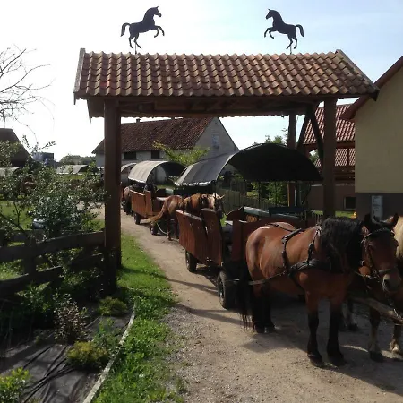 Gospodarstwo agroturystyczne Ranczo W Dolinie Ukta