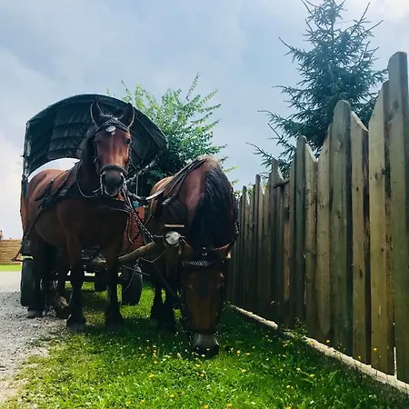Gospodarstwo agroturystyczne Ranczo W Dolinie Ukta