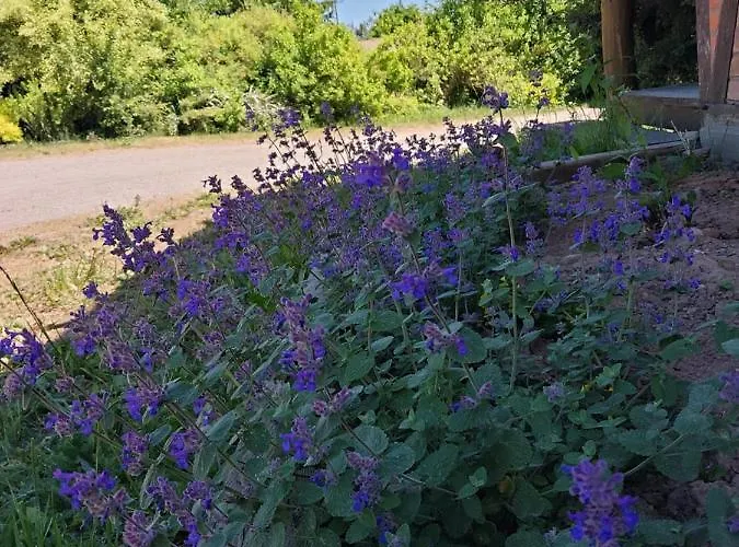 Κατάλυμα σε φάρμα Ranczo W Dolinie Ukta