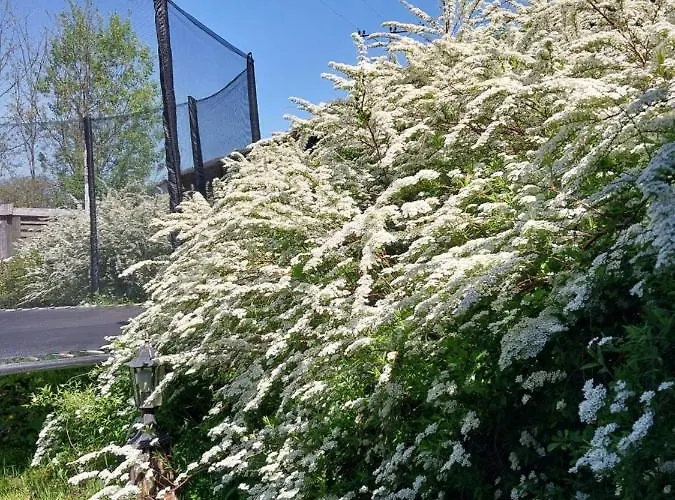 Ranczo W Dolinie Κατάλυμα σε φάρμα *